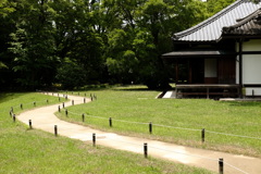 陽射しの道