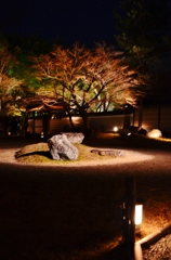 浮かび出る庭園