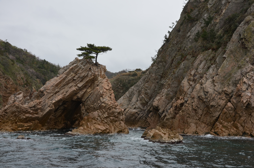 岩場に生きる