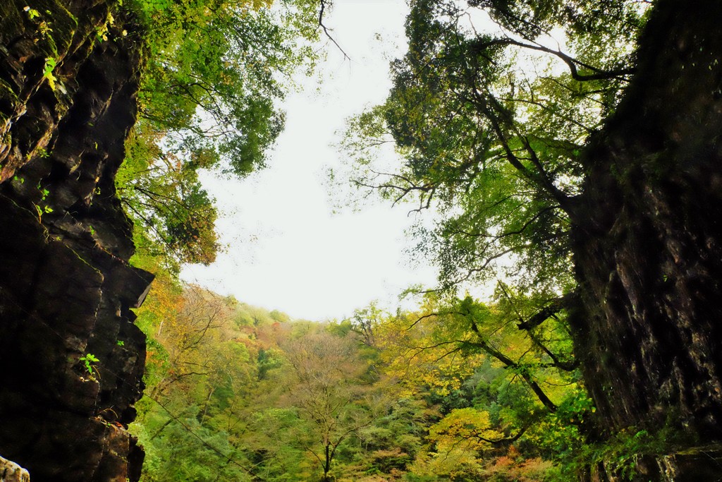 峡谷の空