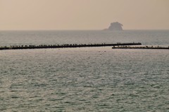 海鵜達