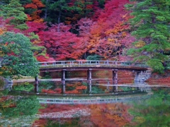 紅葉の橋