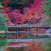 紅葉の橋