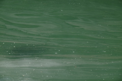 流れ