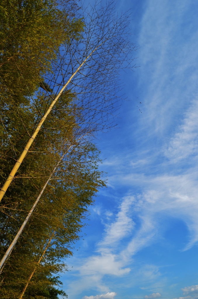 初秋の空