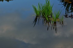 映空
