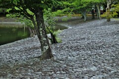 一升石の浜