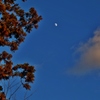 綿雲と月