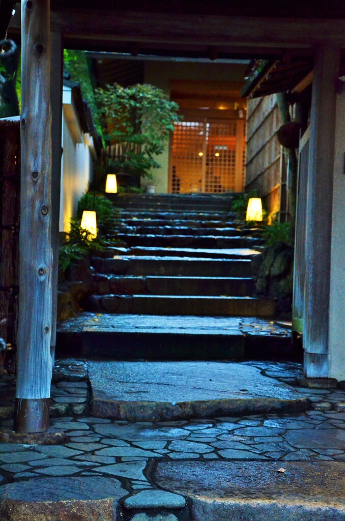 夜来