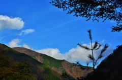 碧空