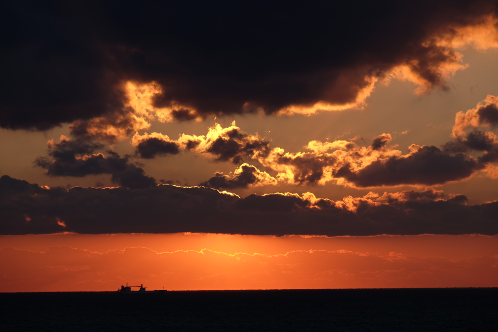 夕竜