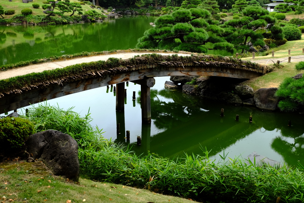 土橋
