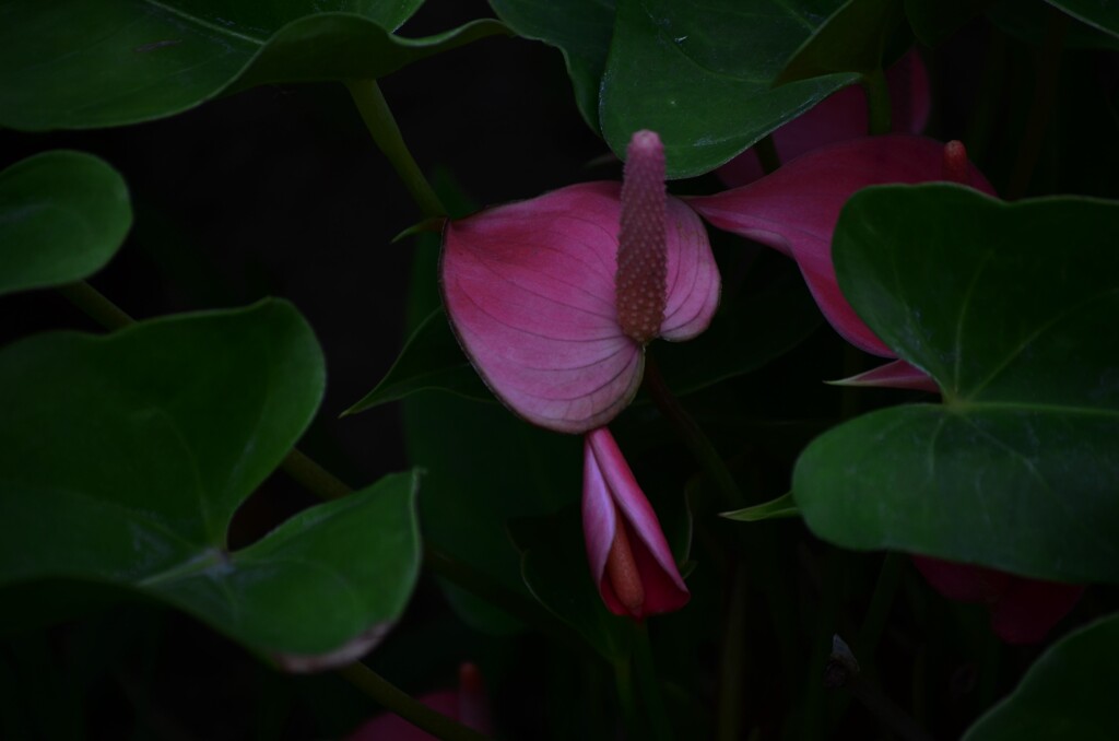 秘