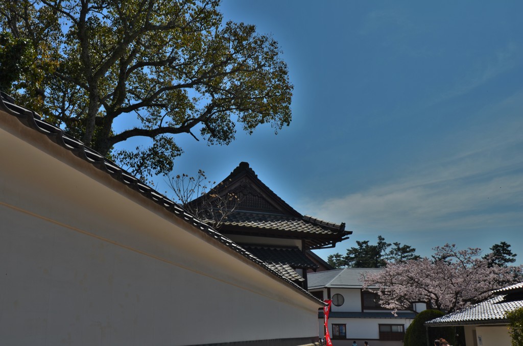 白壁
