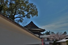白壁