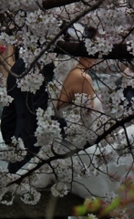 魅惑