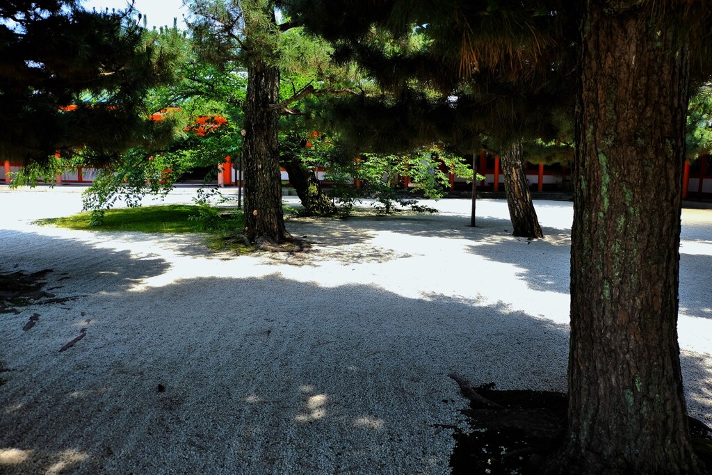 神宮の庭