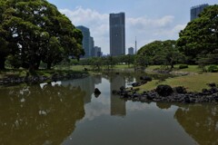 庭園のビル