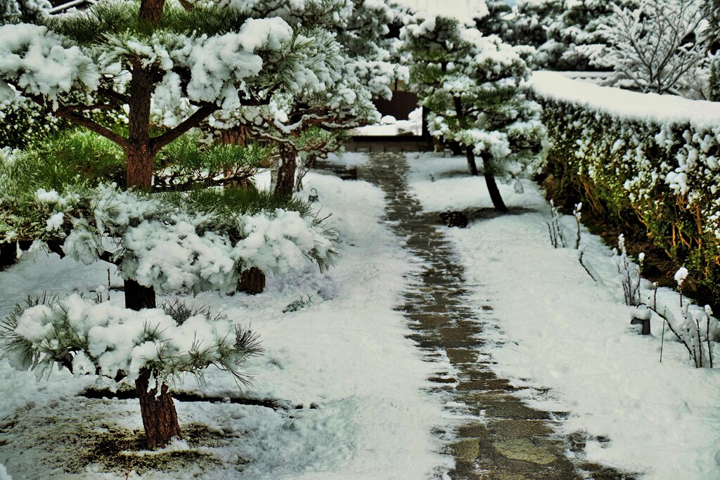 雪の参道
