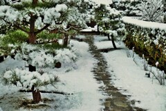 雪の参道