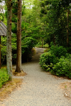 奥の細道