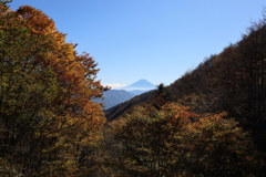 色つきはじめ