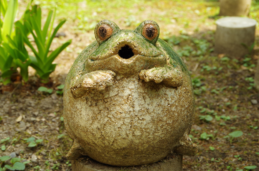 にらめっこ