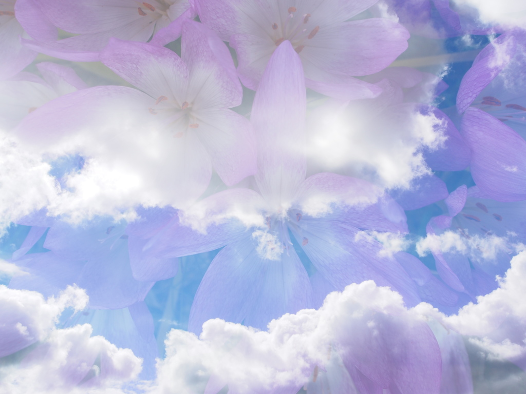 花空