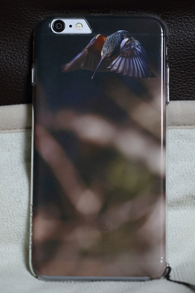 写真活用