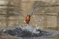 正面離水