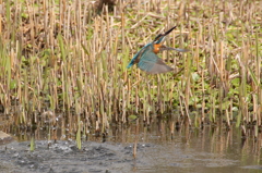 上昇