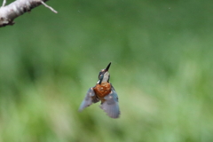 上昇