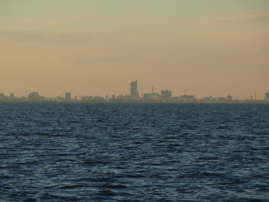 美浦村から土浦市を望む 2
