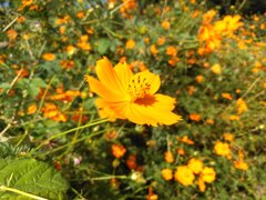 32_s4kc_IMG_20220930_140048