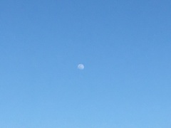 たった今 中潮 月齢12.4 3/15