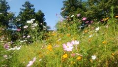 05_f03h_IMG_19700101_120828