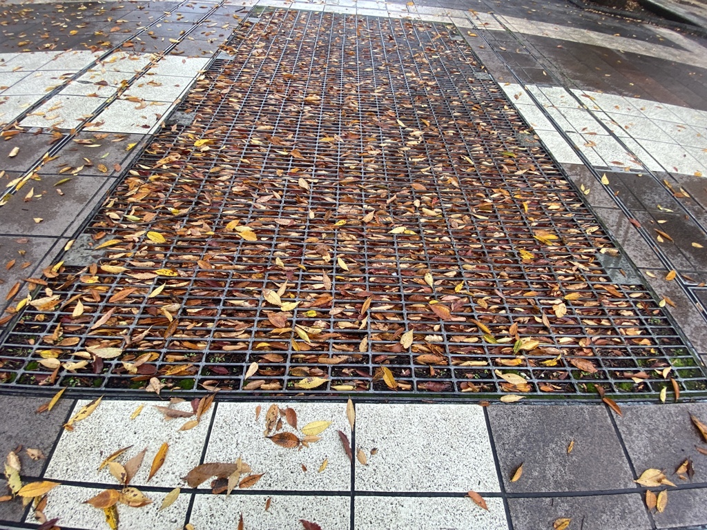 秋がぎっしり詰め合わせ 憂愁の思いの詰め合わせ