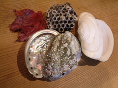 すべて自然の造形物