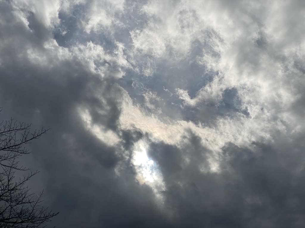 11月18日午後13時の太陽のある風景