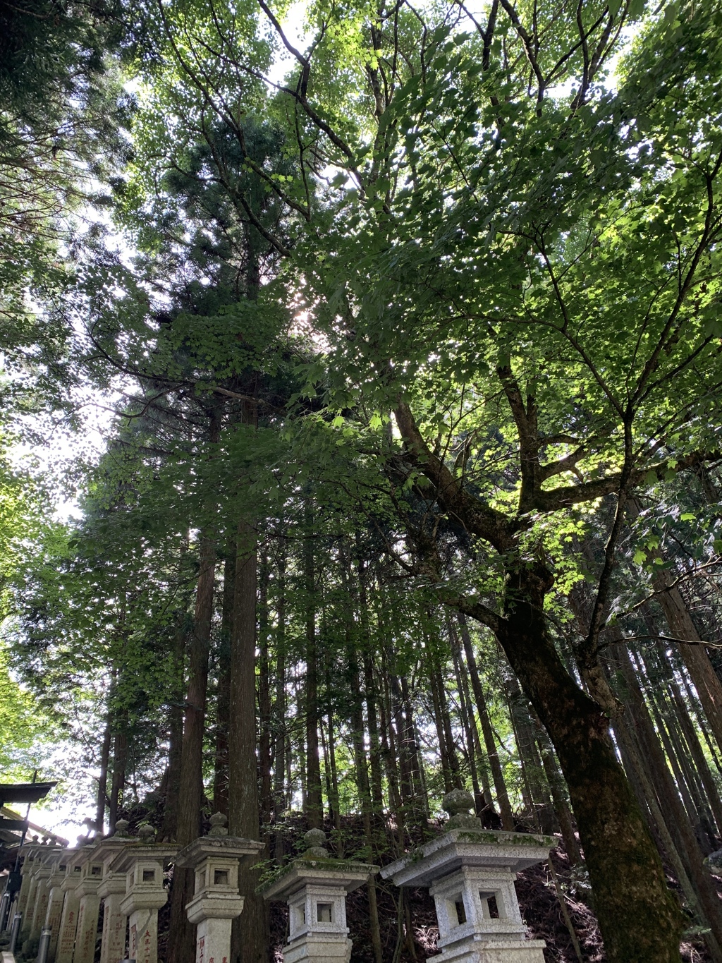 三峯神社 三峰神社 