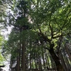 三峯神社 三峰神社 