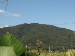 44_E-410_40mm_P9300014