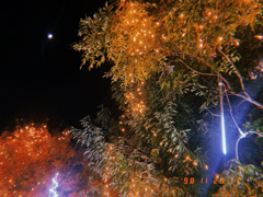 月が綺麗ですね　人類が未知の場所〜月〜