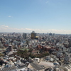 東京 Asakusa Tokyo 浅草 2007