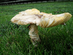 IMG_20131005_121211