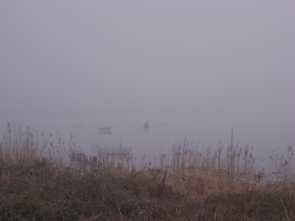 霧の朝靄