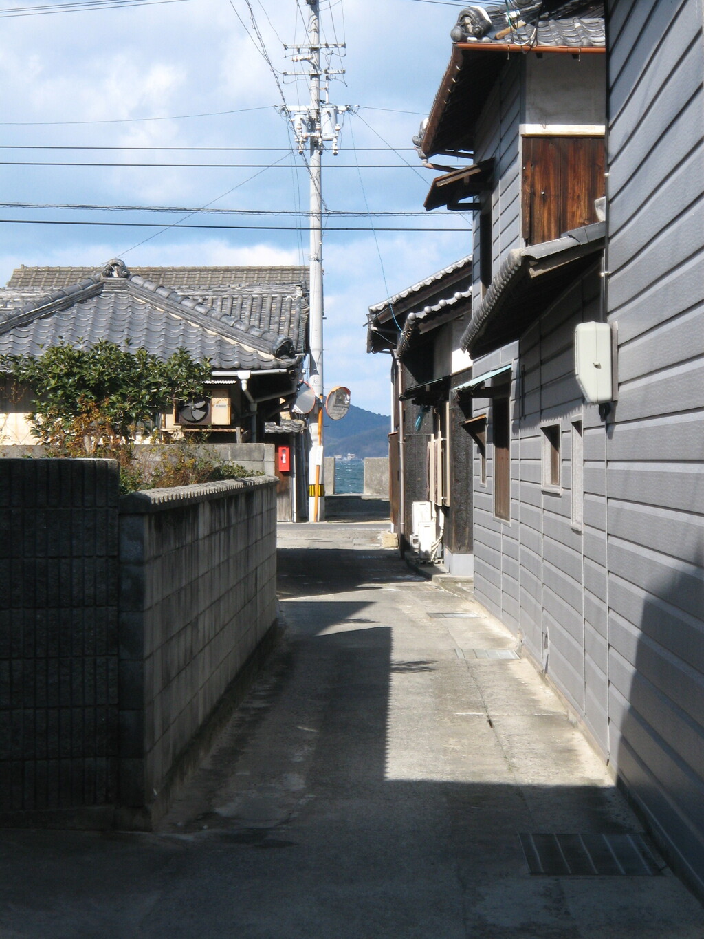 海