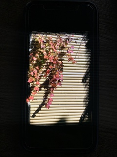 iPhone11の画面をiPhone10で撮影 iPhoneⅪ iPhoneⅩ