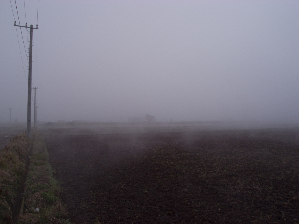 霧の朝靄