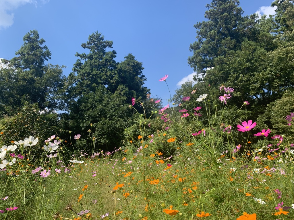03_iphoneXS_IMG_0097